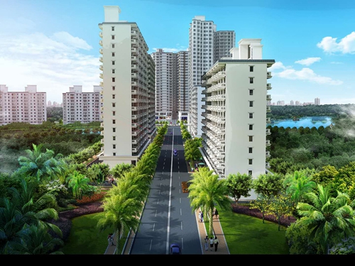 为什么香水湾1号的“候鸟”老人那么多